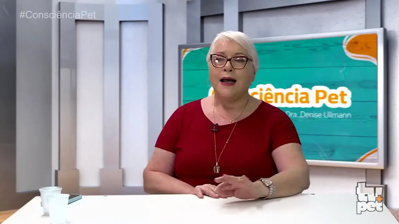TV + Pet en direct
