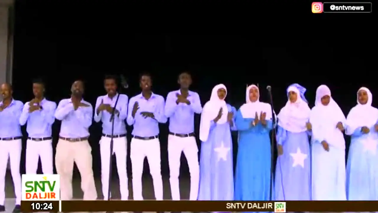 SNTV Daljir na żywo