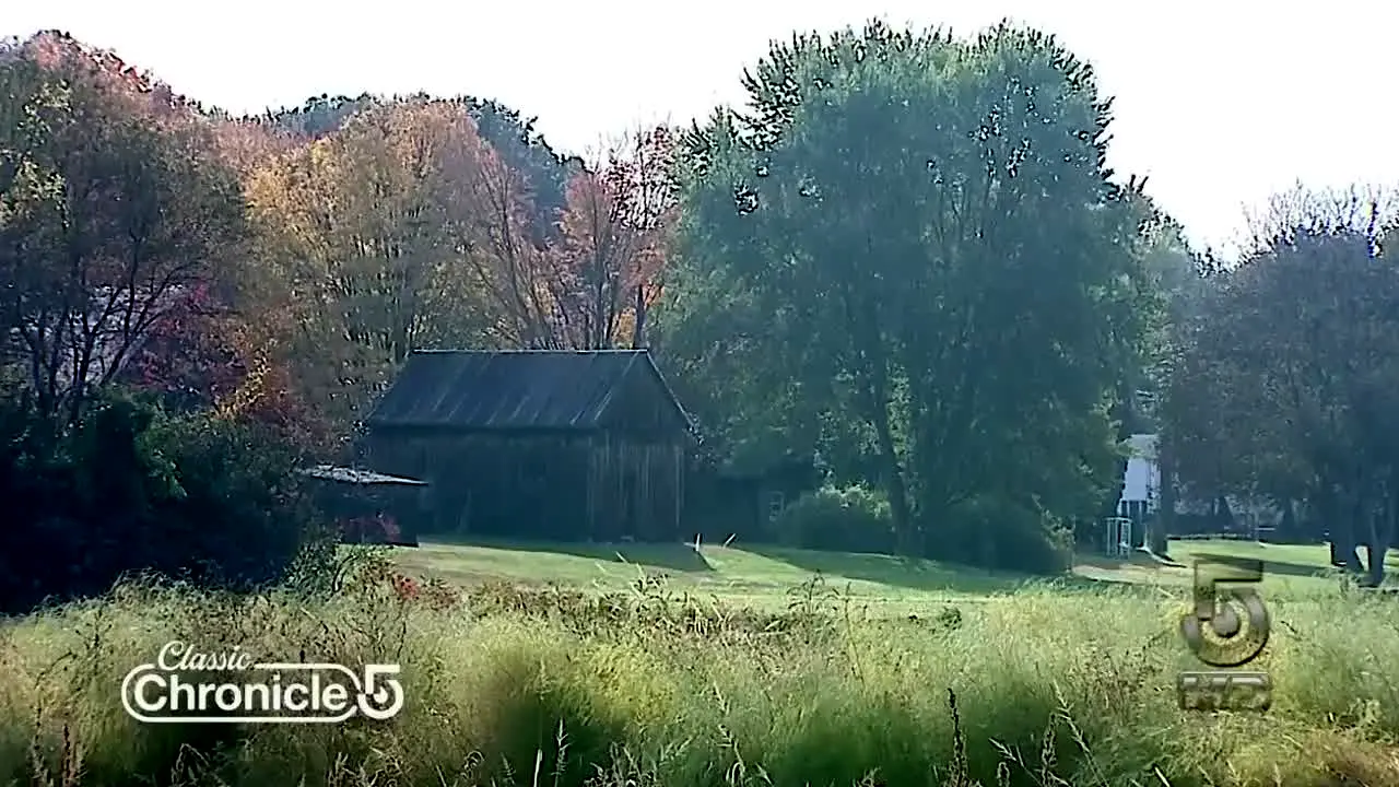 True Crime Network WCVB-TV live