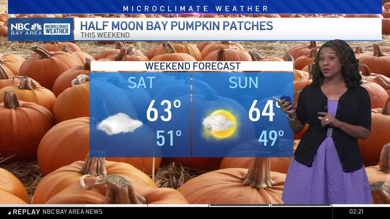 NBC KNTV live