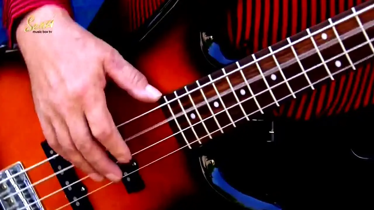Senzi — прямой эфир