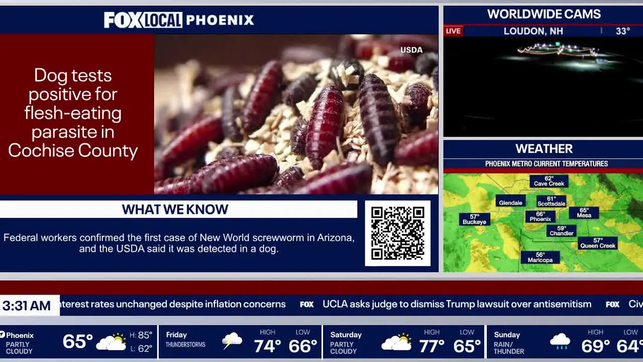 Fox KSAZ-TV live
