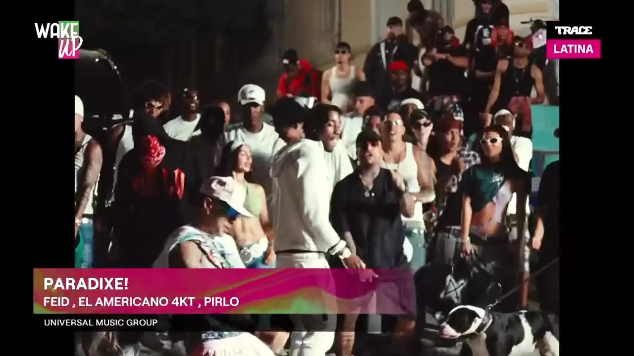 Trace Latina live