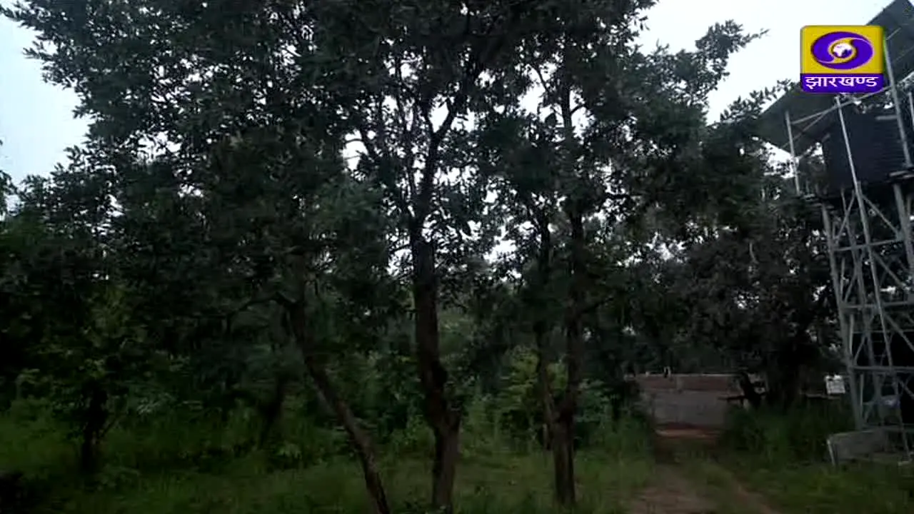 DD Jharkhand live