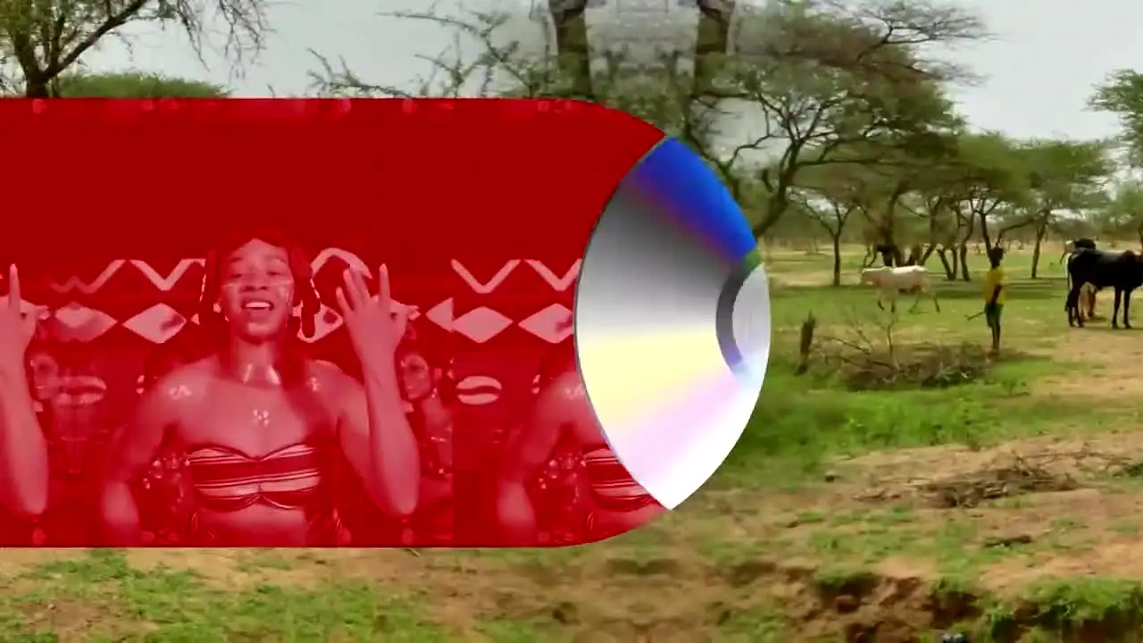 Trace Africa live