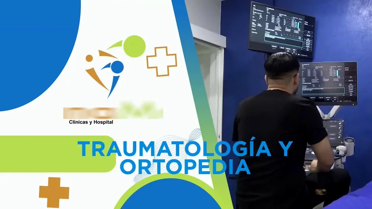 Vision TV en vivo