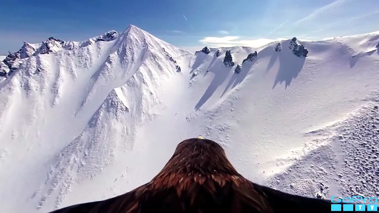 GoProTV live