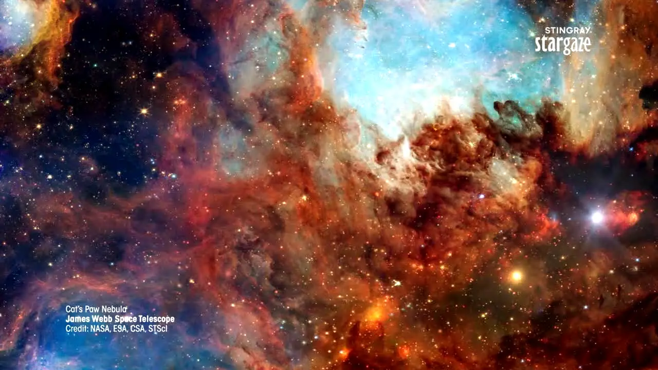 Stingray Stargaze na żywo