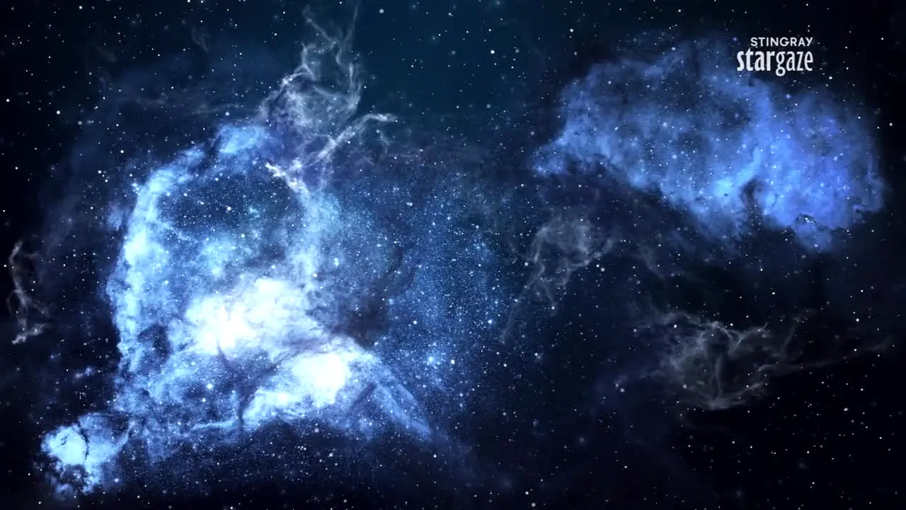 Stingray Stargaze en direct