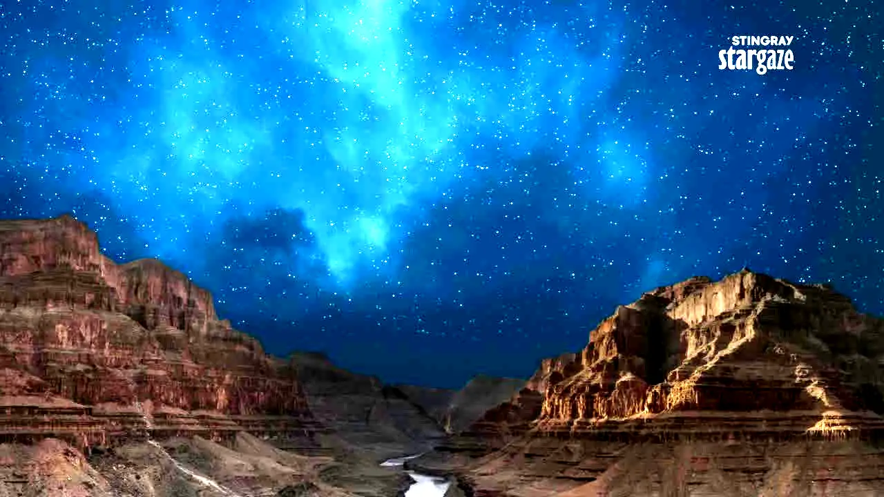 Stingray Stargaze live