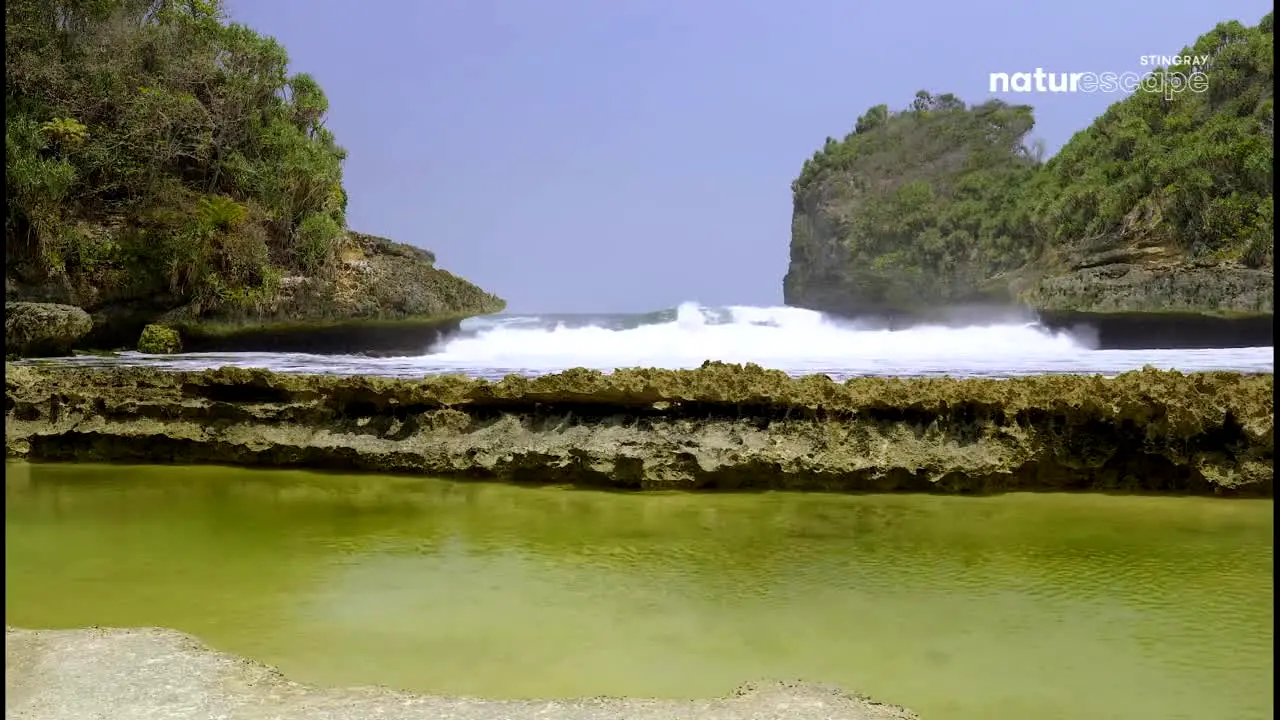 Stingray Naturescape — прямой эфир