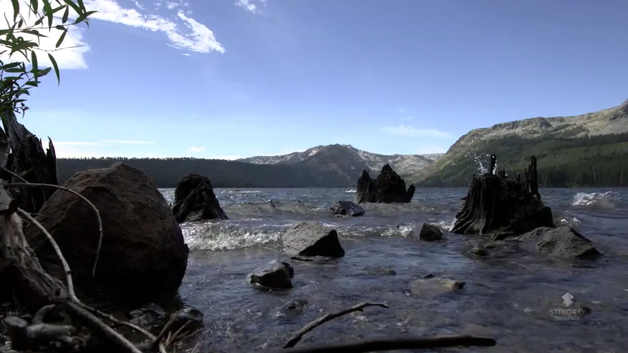 NatureVision na żywo