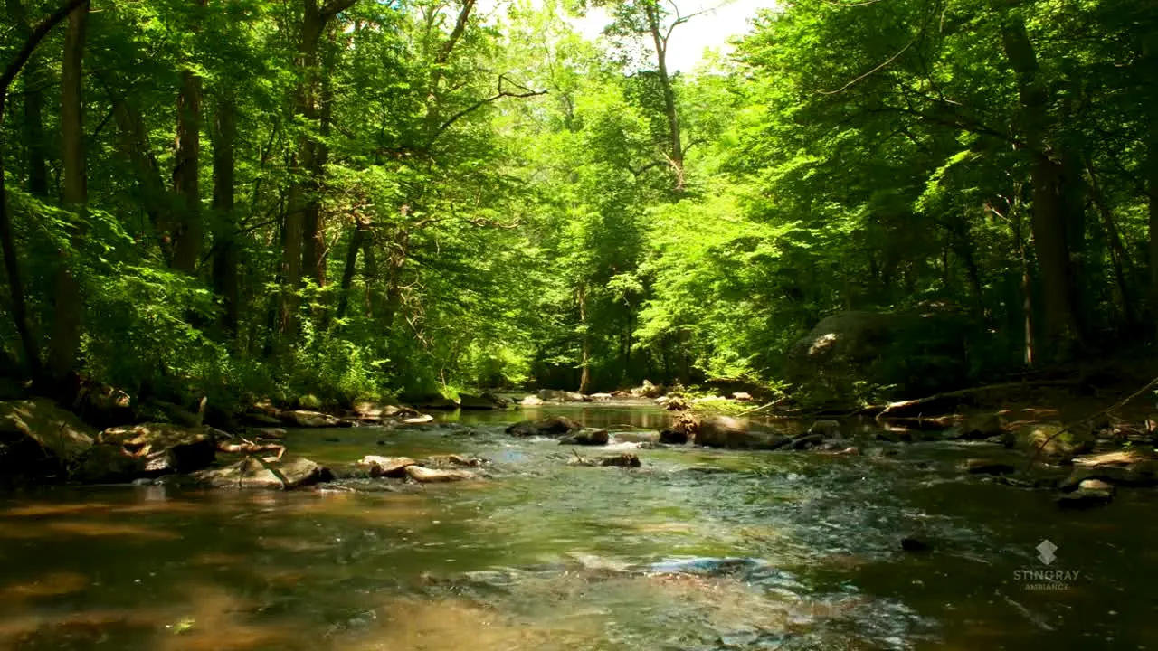 NatureVision live