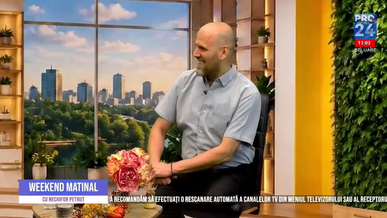 PROFI 24 TV live