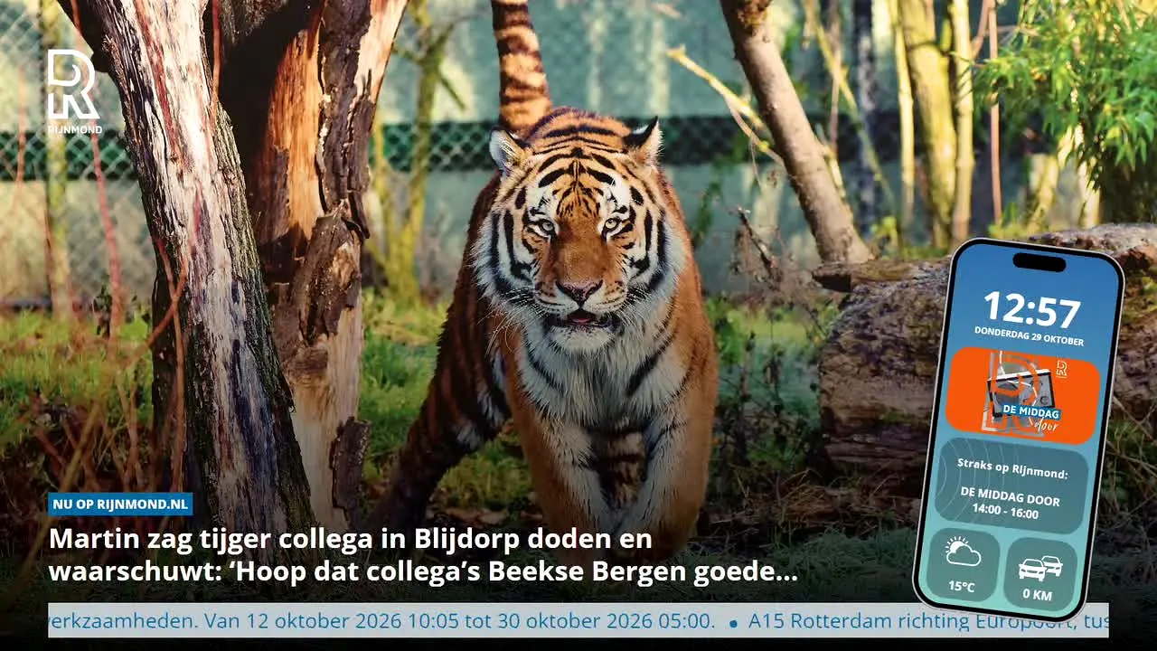 RTV Rijnmond live