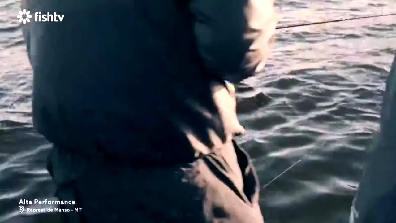 Fish TV live