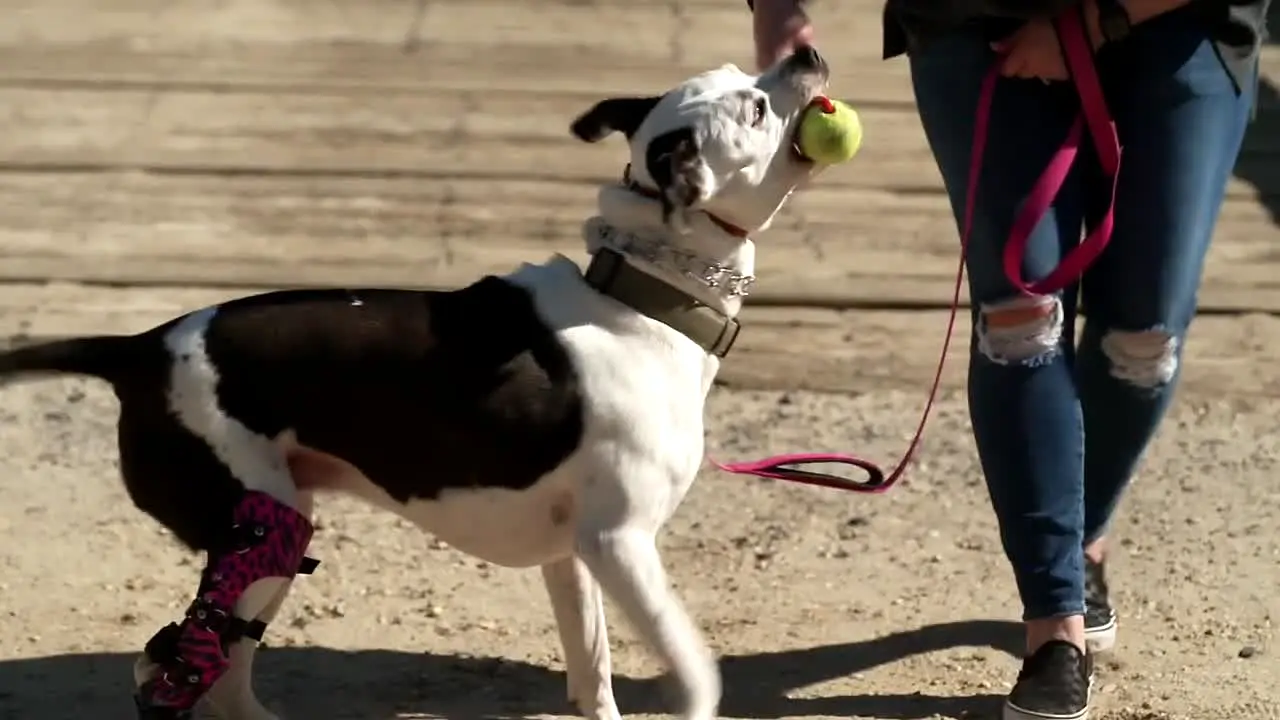 Xploration Station live