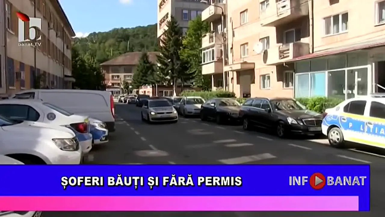 Banat TV live