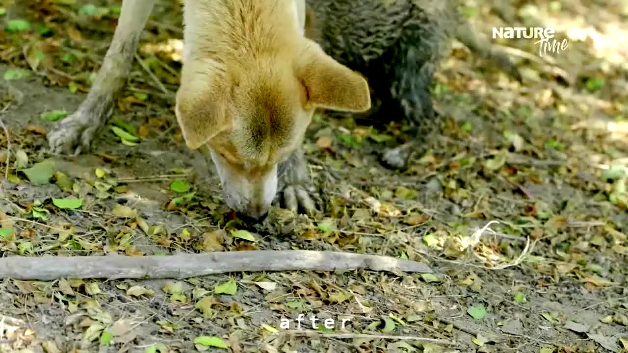 Nature Time live