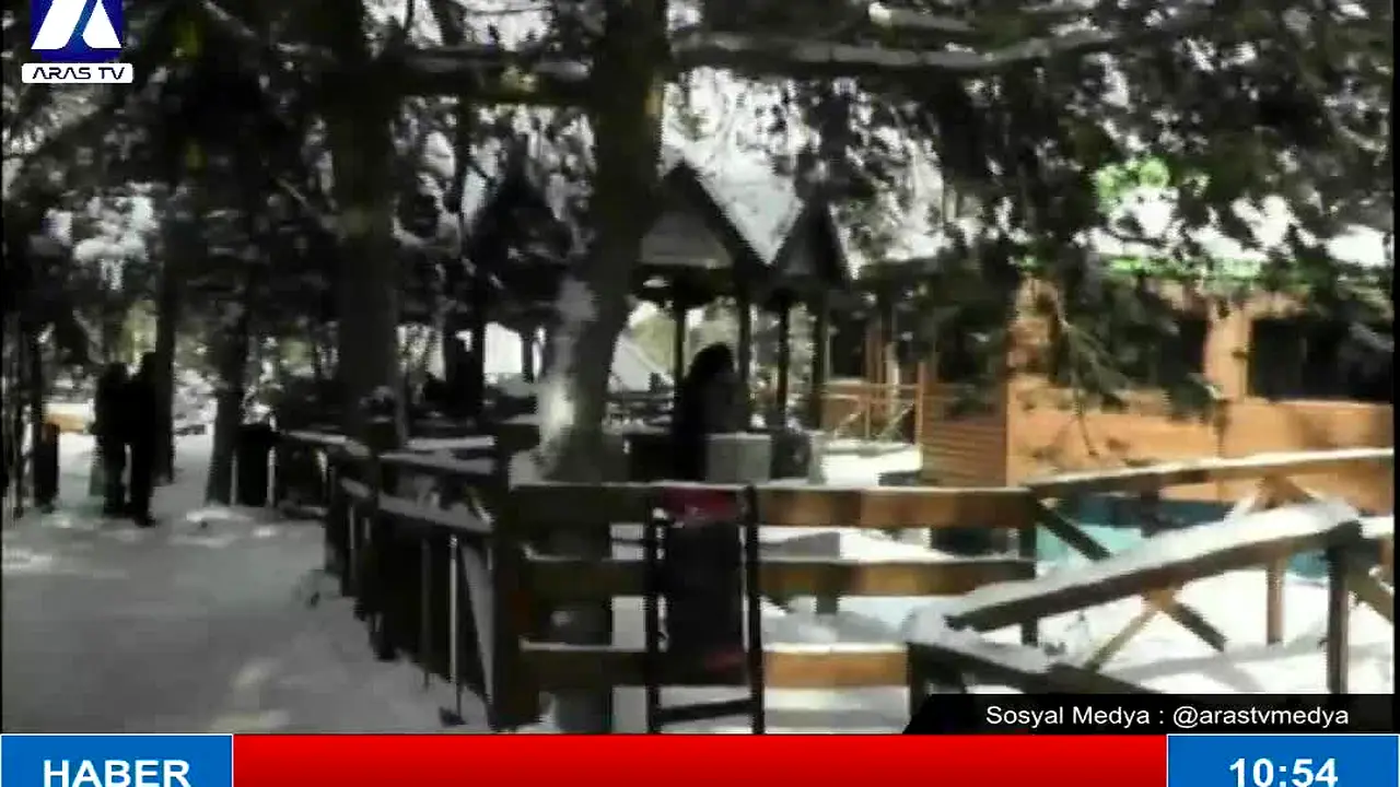 Aras TV live