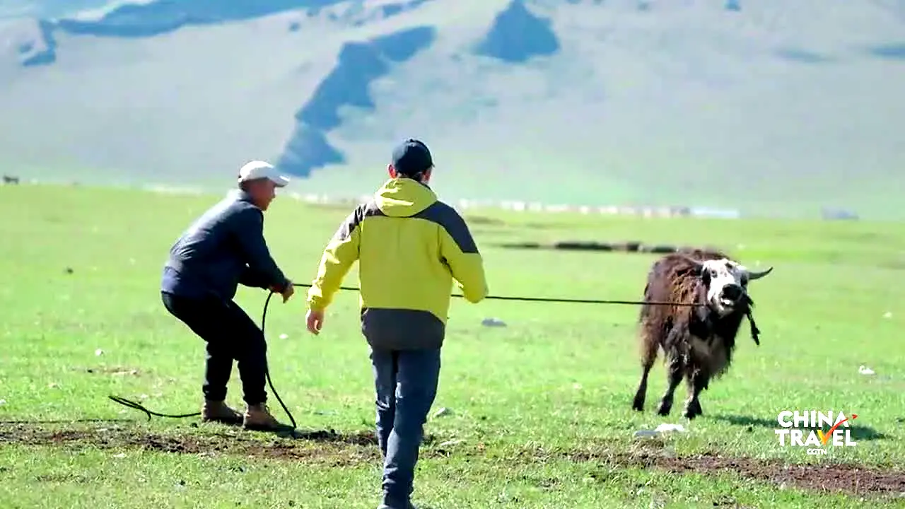 China Travel live