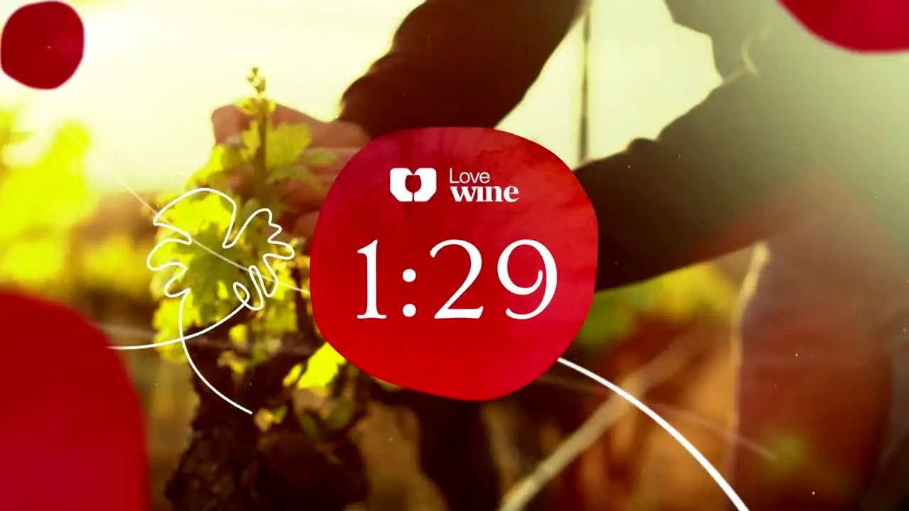Love Wine live