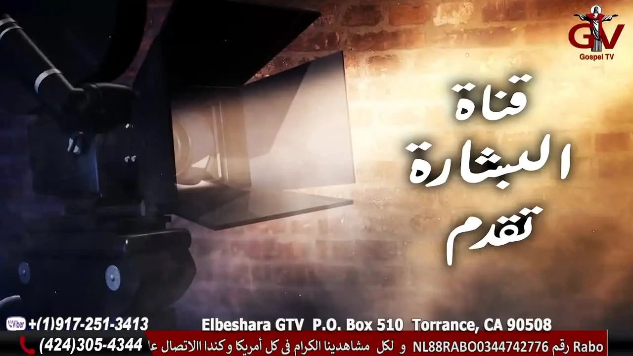 Elbeshara GTV live