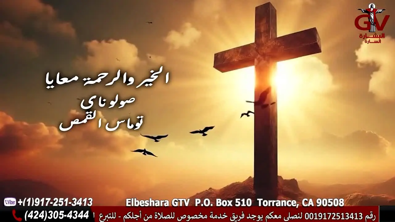 Elbeshara GTV live
