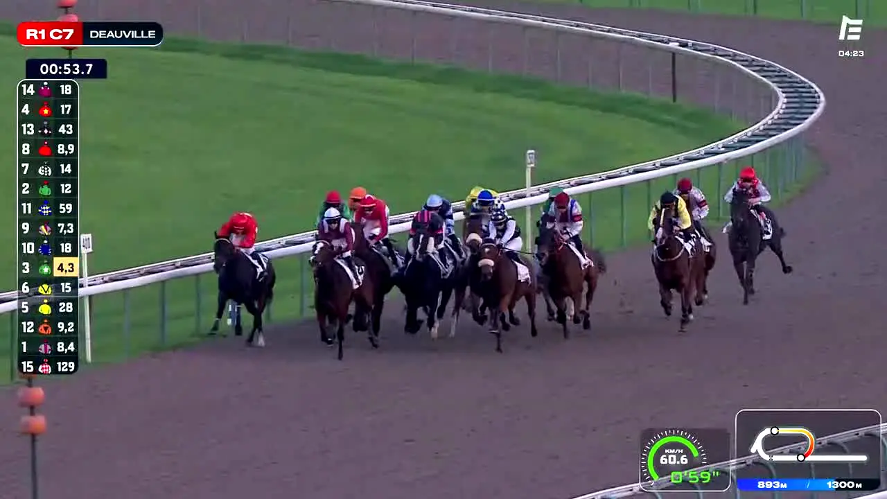 Equidia live