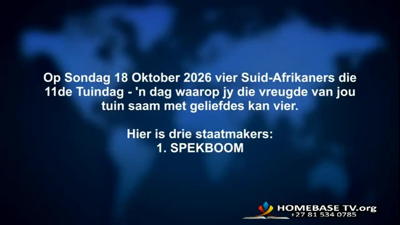 Homebase TV live