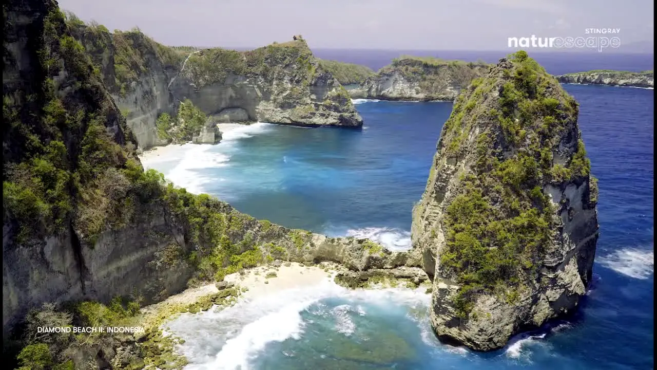 Stingray Naturescape in diretta