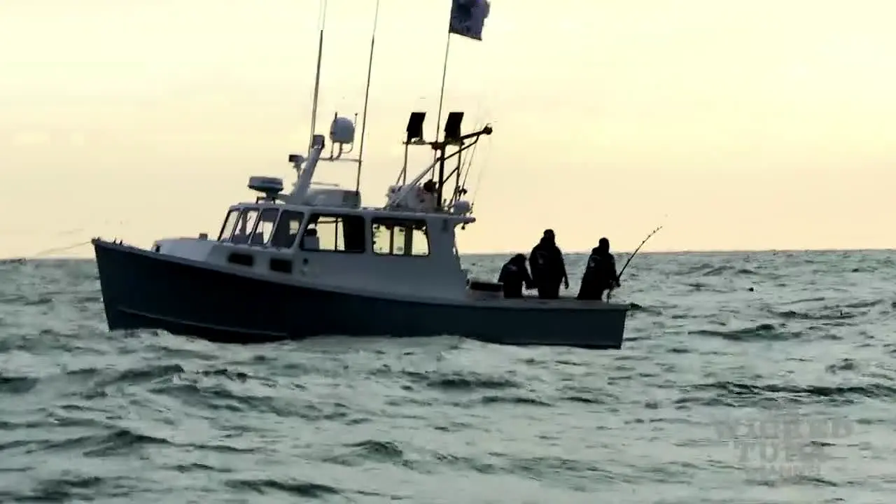The Wicked Tuna Channel live