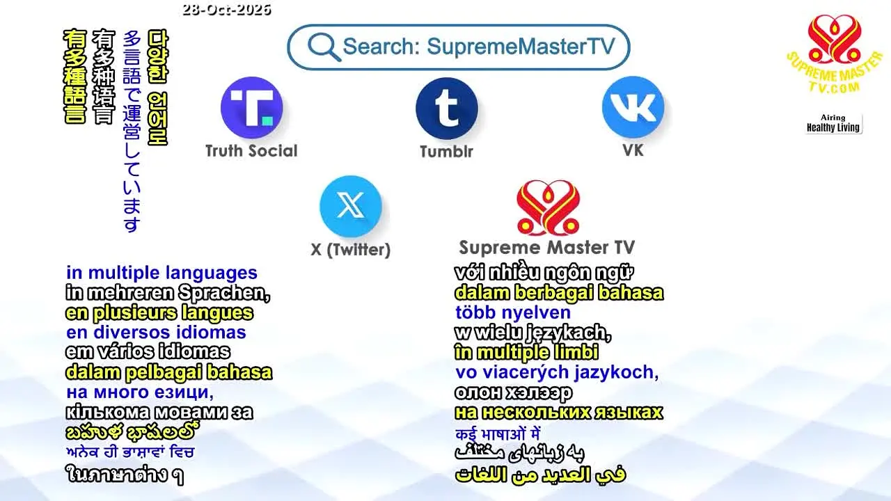 Supreme Master TV · US en direct