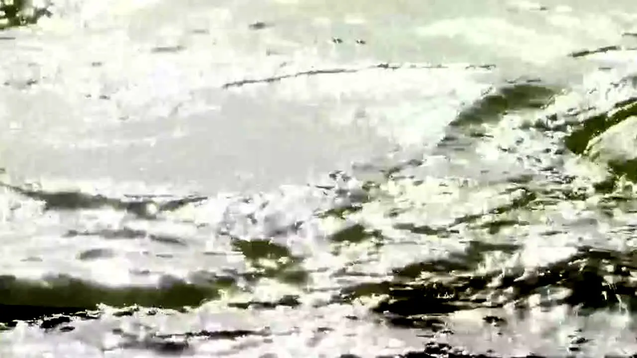River Monsters na żywo