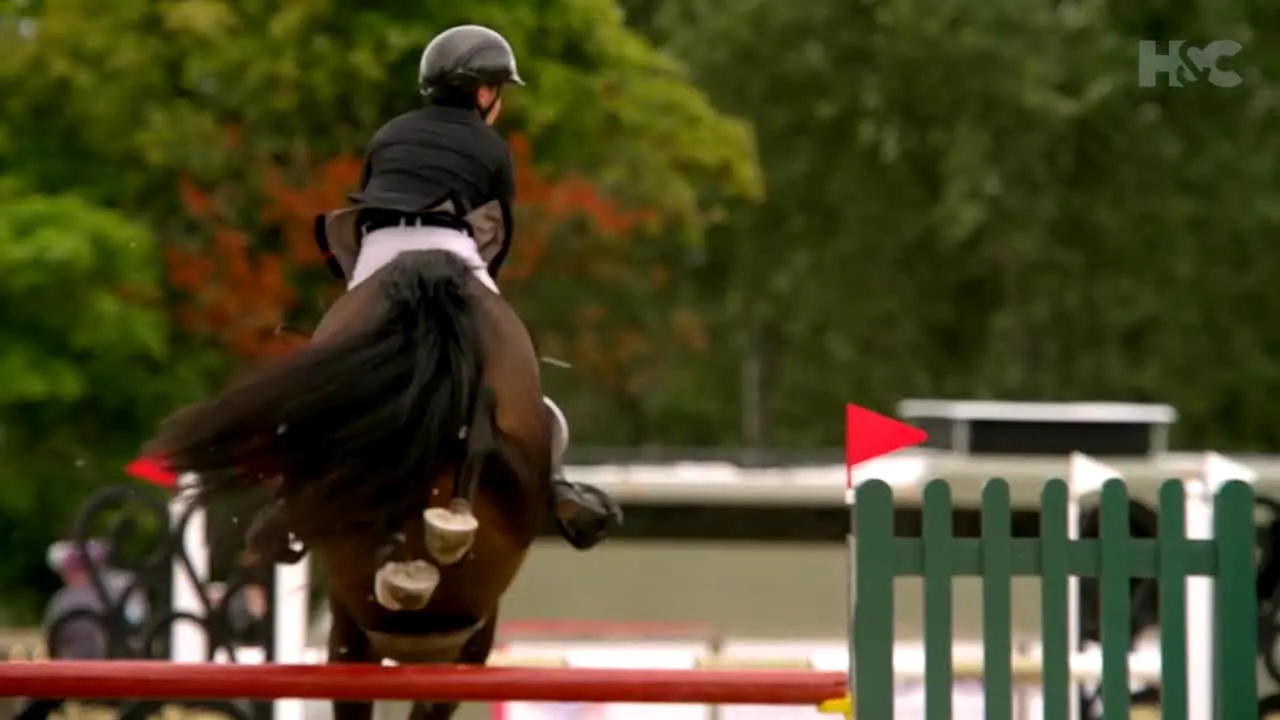 Horse & Country TV live