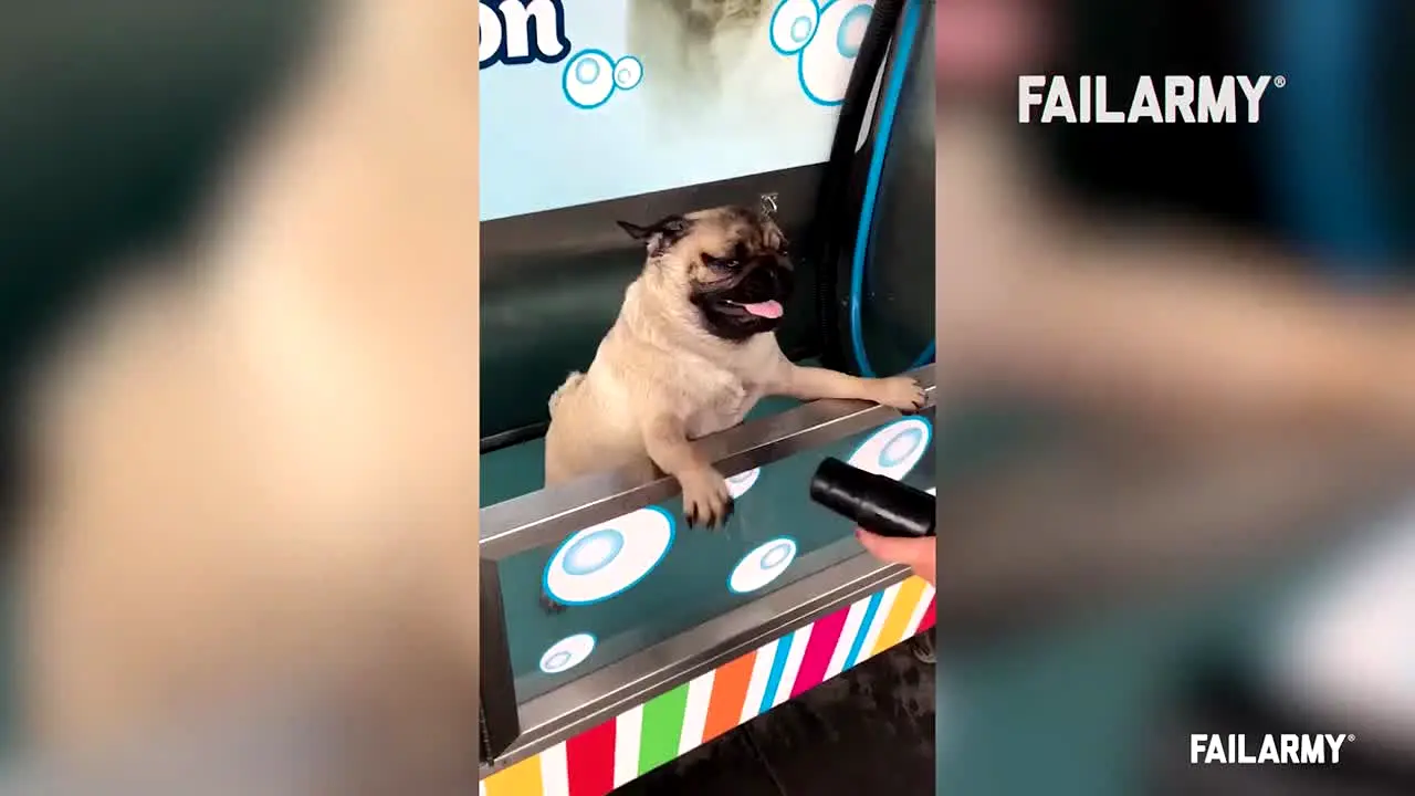 Fail Army live