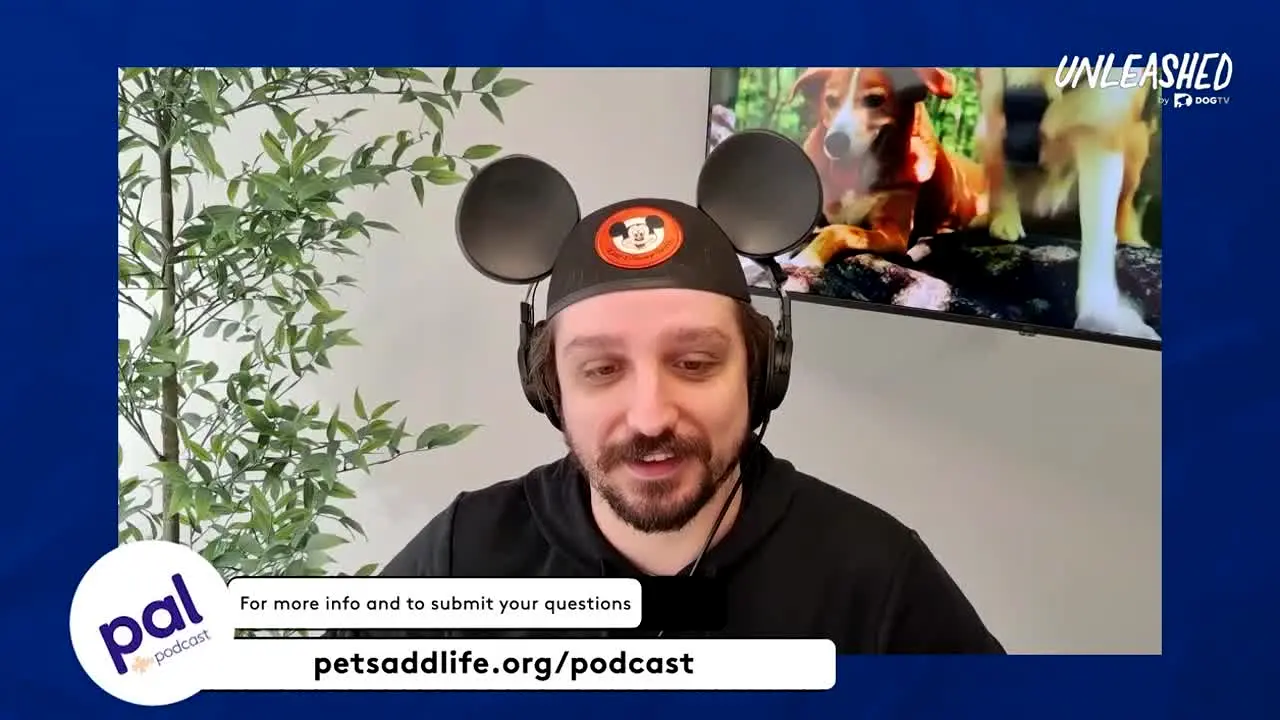 Unleashed by DOGTV live