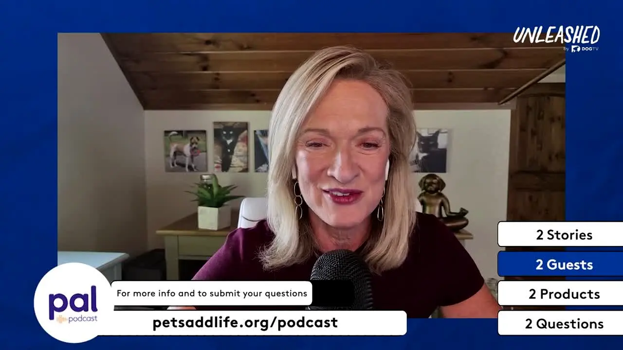 Unleashed by DOGTV live