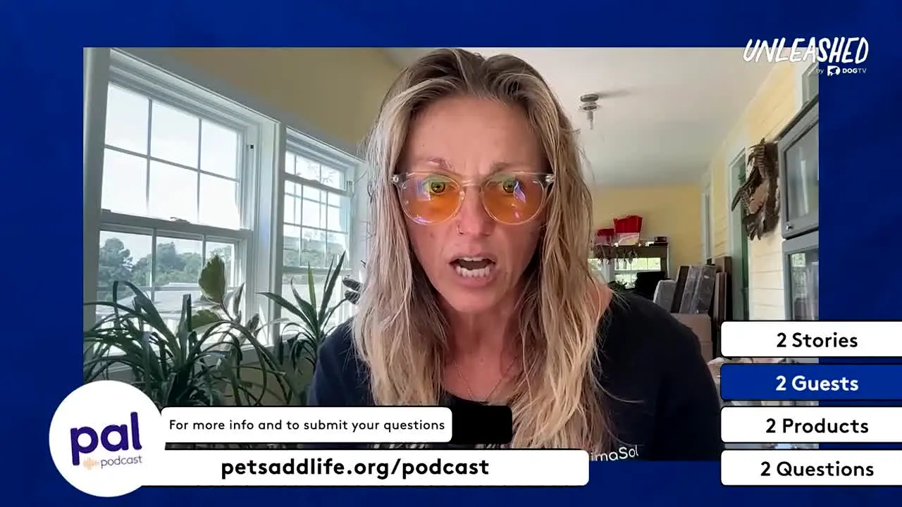 Unleashed by DOGTV live