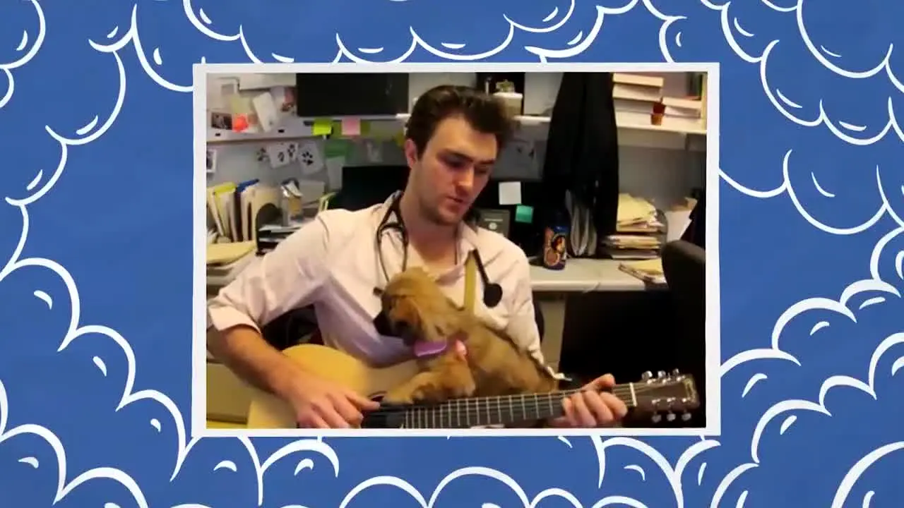 Unleashed by DOGTV live