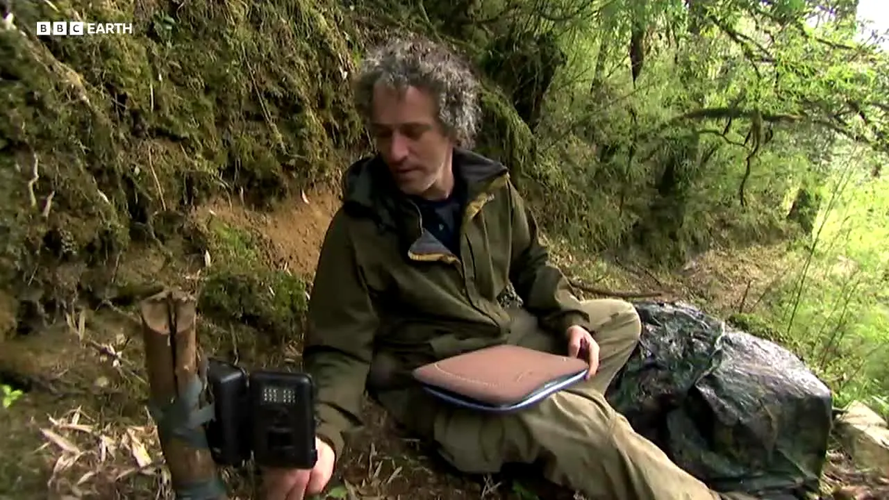 BBC Earth en direct