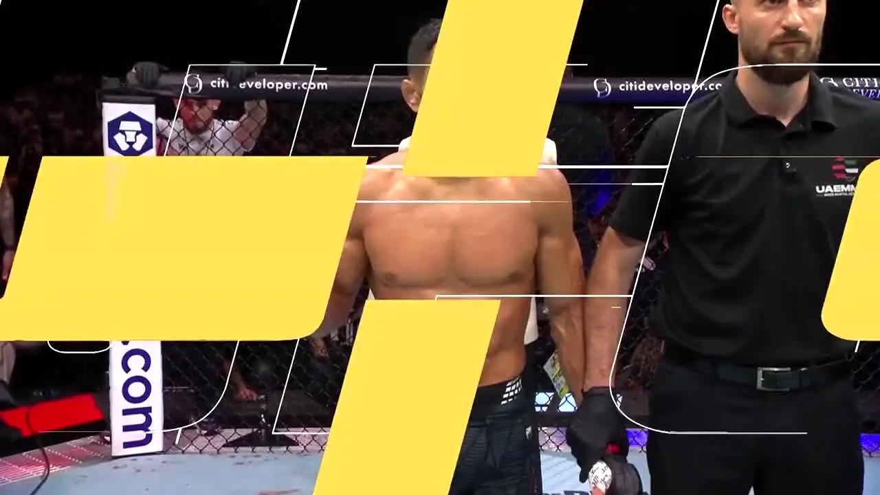 UFC live