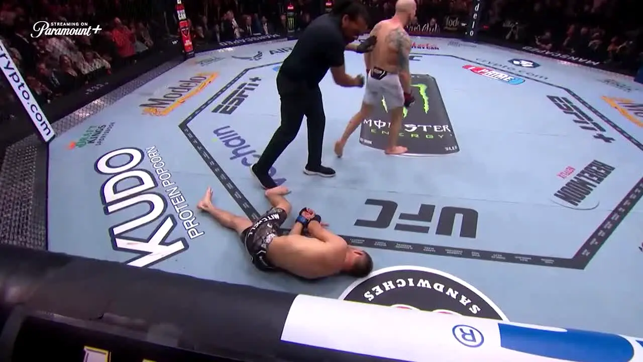 UFC live
