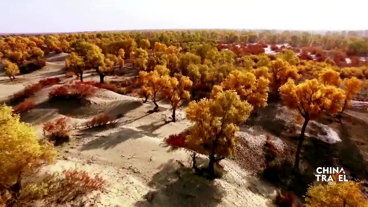 China Travel live