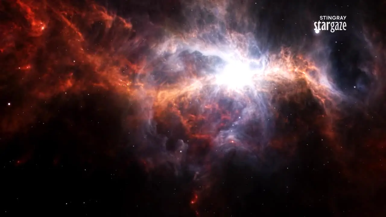 Stingray Stargaze live