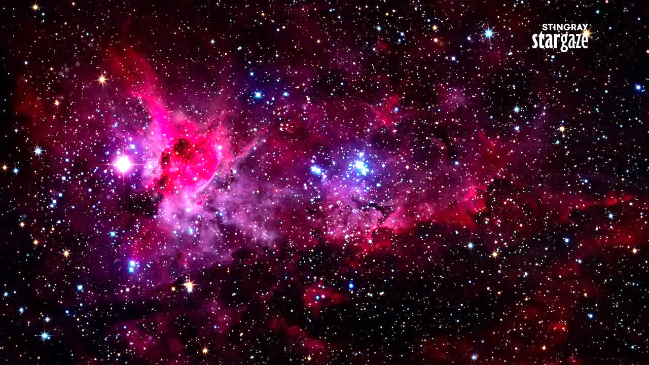 Stingray Stargaze en direct