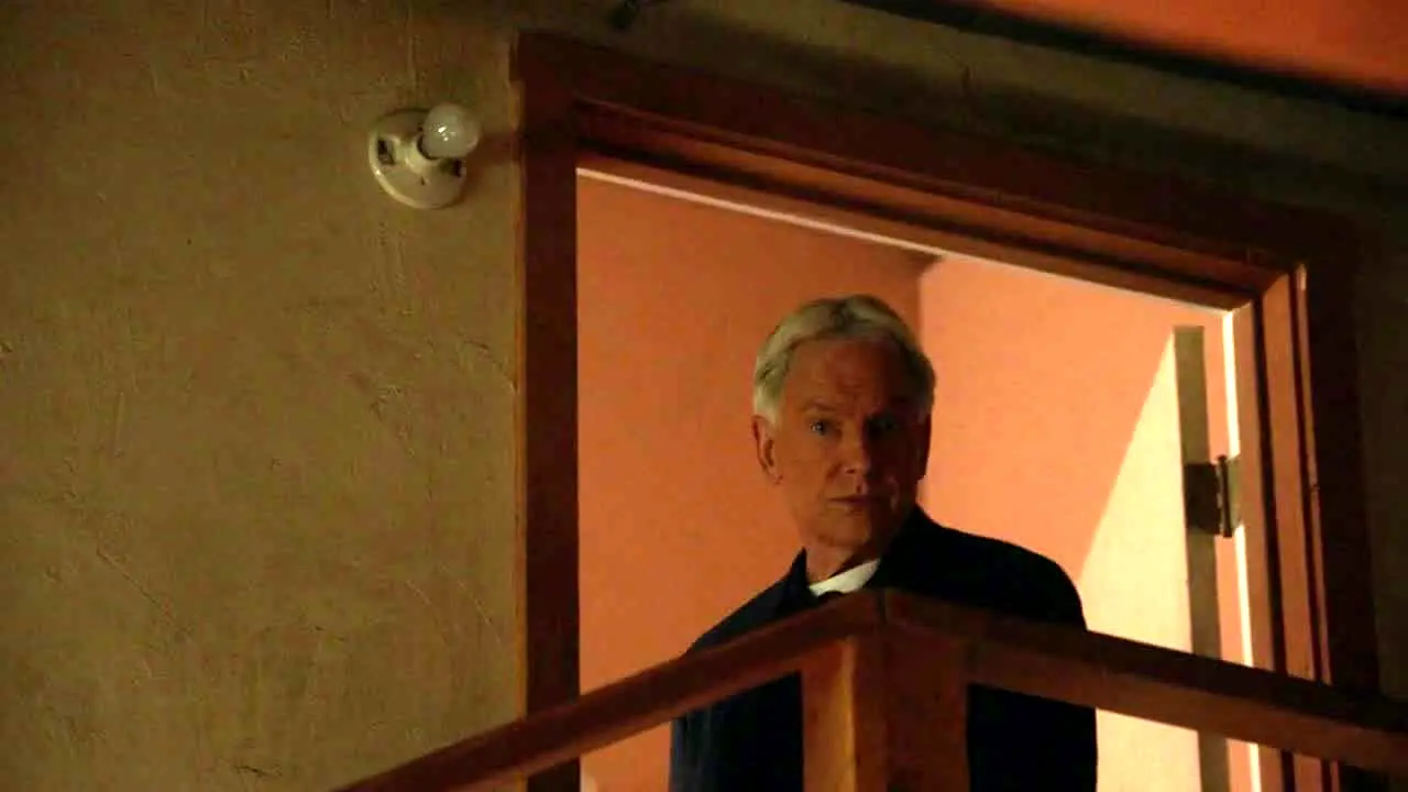 NCIS live