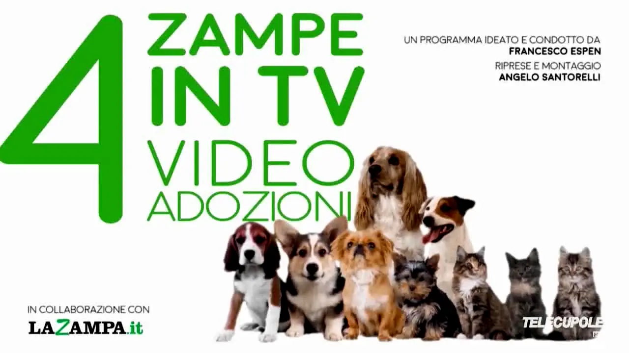 Tele Cupole live