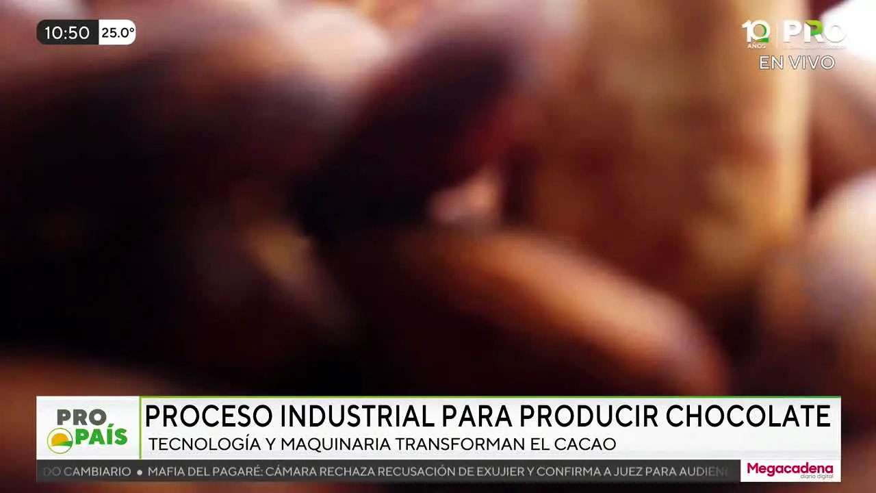 Canal Pro live