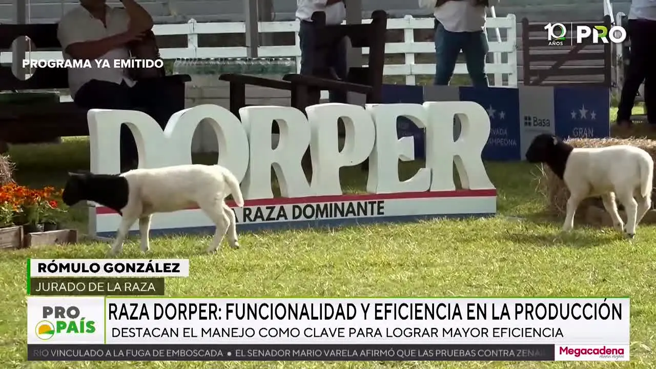 Canal Pro live